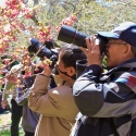 Sakura-Matsuri-152.jpg