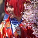 Sakura-Matsuri-173.jpg