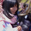 Sakura-Matsuri-175.jpg