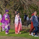 Sakura-Matsuri-407.jpg